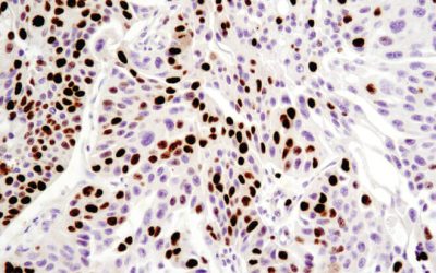 CELL 1