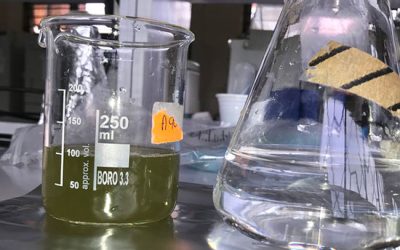 Digestion extraction - شرکت دانش بنیان بافت و ژن پاسارگاد