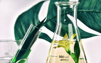 maceration extraction - شرکت دانش بنیان بافت و ژن پاسارگاد