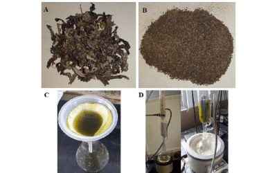 maceration extraction - شرکت دانش بنیان بافت و ژن پاسارگاد